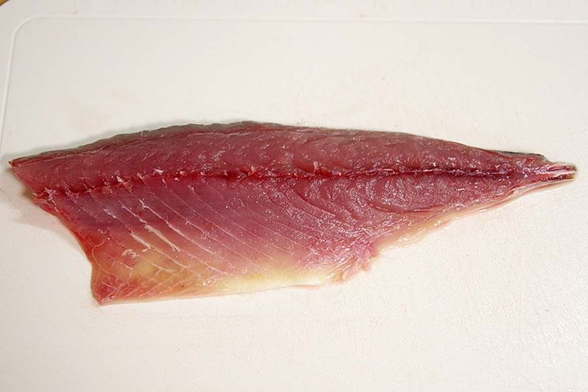 魚を照らして寄生虫を見つけ出せ！ 「アニサキスライト」で安全に刺身