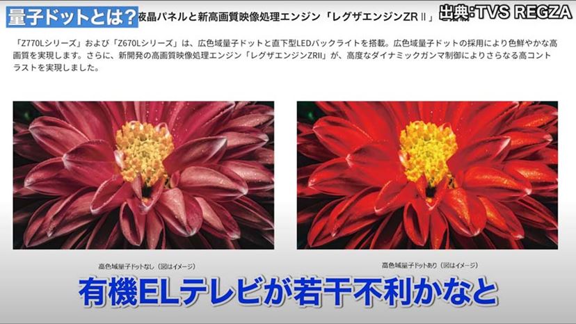 動画】有機ELより液晶テレビが主流！ お買い得な厳選モデルを紹介 