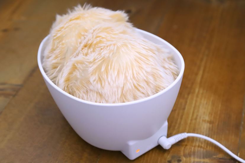 君はもう家族だよ…！ 愛猫家がAIペットロボット「モフリン」を