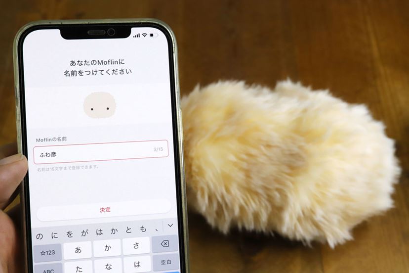 君はもう家族だよ…！ 愛猫家がAIペットロボット「モフリン」を