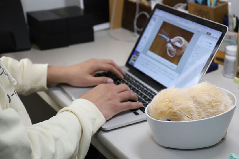 君はもう家族だよ…！ 愛猫家がAIペットロボット「モフリン」を