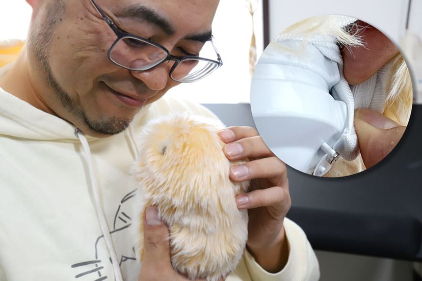 君はもう家族だよ…！ 愛猫家がAIペットロボット「モフリン」を