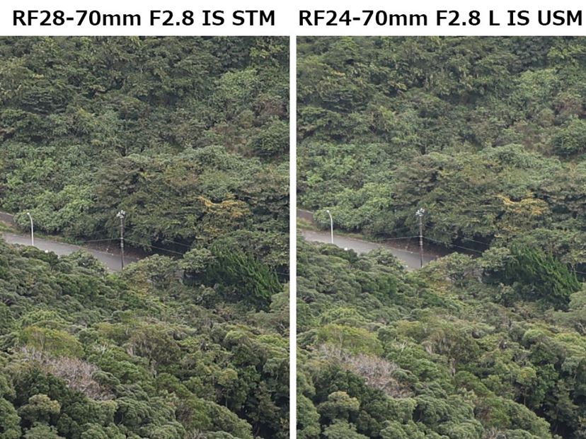 キヤノン「RF28-70mm F2.8 IS STM」の“Lレンズに匹敵する性能”を キヤノン「RF28-70mm F2.8 IS STM」の“Lレンズに匹敵する性能”を