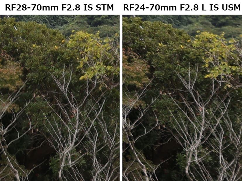 キヤノン「RF28-70mm F2.8 IS STM」の“Lレンズに匹敵する性能”を キヤノン「RF28-70mm F2.8 IS STM」の“Lレンズに匹敵する性能”を