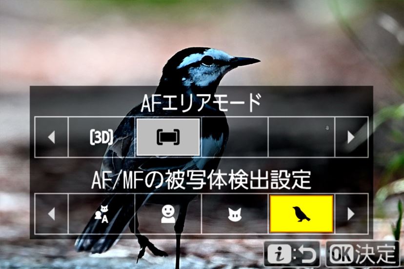 ニコン「Z5II」のコスパに納得！ 上位機「Z6III」との違いを徹底比較