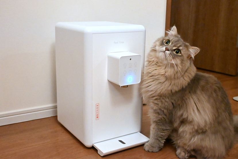 コンパクトな「卓上ウォーターサーバー」を徹底比較！ 浄水型・天然水