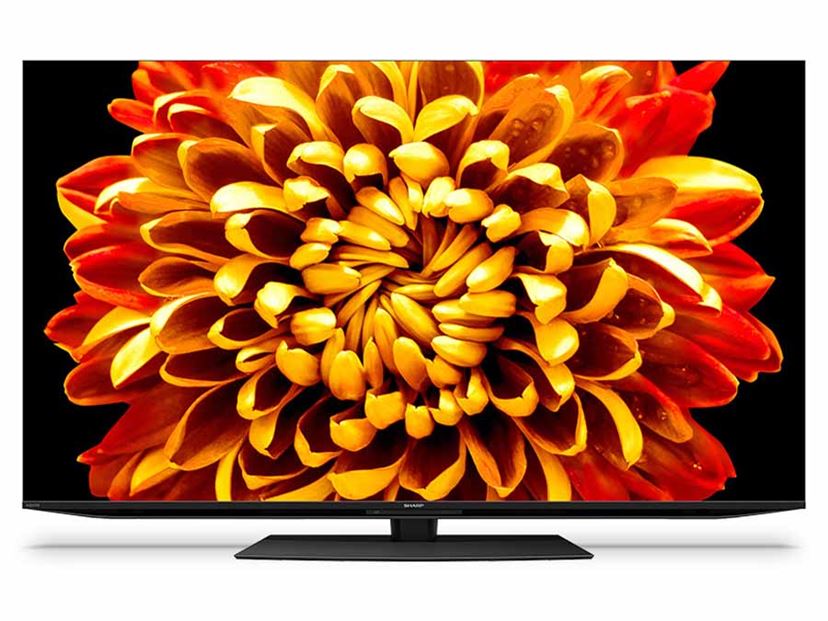 6月10日】大幅値下げで“今”安い！ テレビの格安・激安な注目製品14選