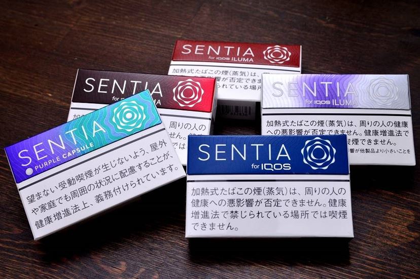 50円安い「センティア」に最強喫味レギュラーが登場！ 青い箱も印象的