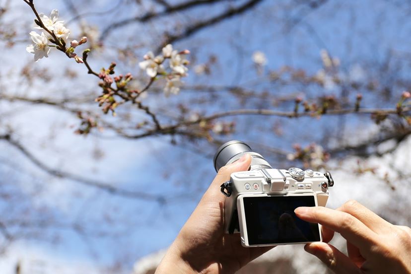 OLYMPUS デジタル一眼レフカメラ 標準レンズ付き camerart-shop_olympus-e-520-70