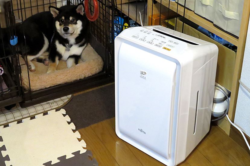 犬のニオイが気になるので「脱臭機」を導入してみた －富士通ゼネラル「プラズィオン」を2か月使った結果－ - 価格.comマガジン