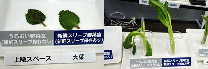 冷凍もおいしく保存！ 鮮度を守る3つの技術を搭載した日立の新しい 