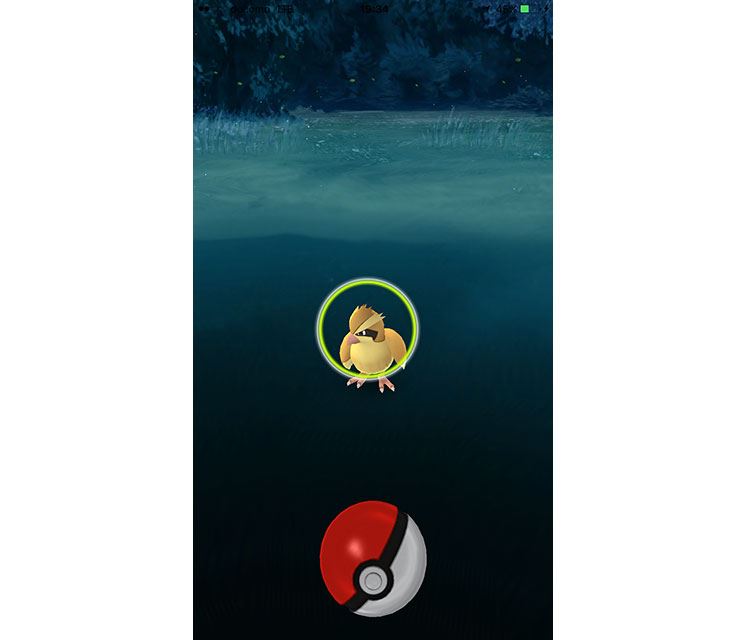 ポケモンgoをやってみて気付いた 面白い点と気になる点 価格 Comマガジン