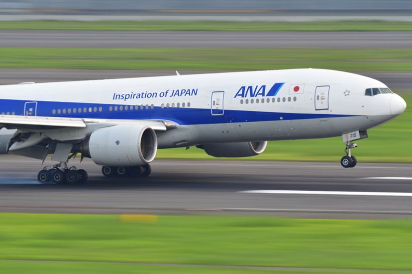 ✨超望遠✨Nikon D50✨高画質✨初心者・中級者向け✨すぐ使える✨ダブル✨ ✨超望遠✨Nikon D50✨高画質✨初心者・中級者向け✨すぐ