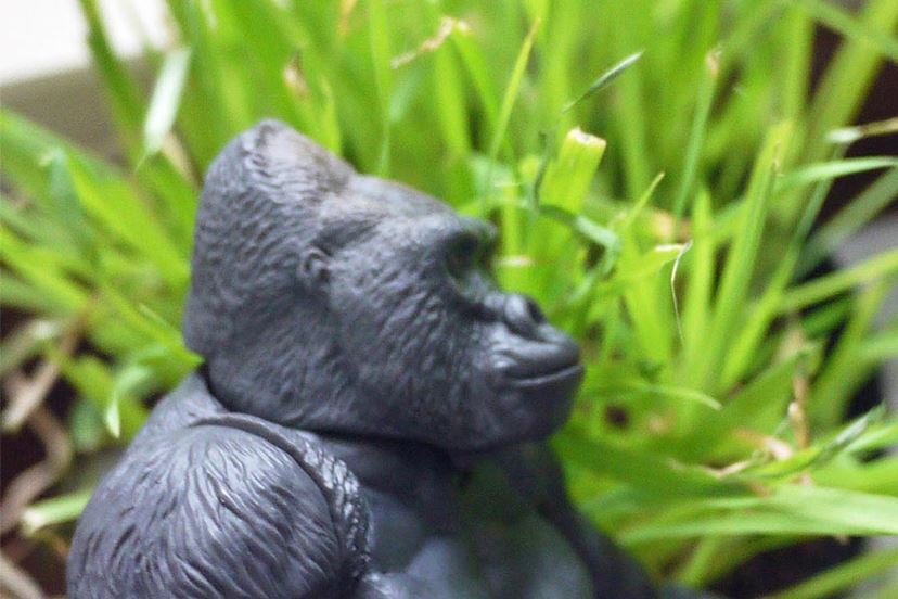 あの「海洋堂」が本気でゴリラを作ったらこうなりました - 価格.com