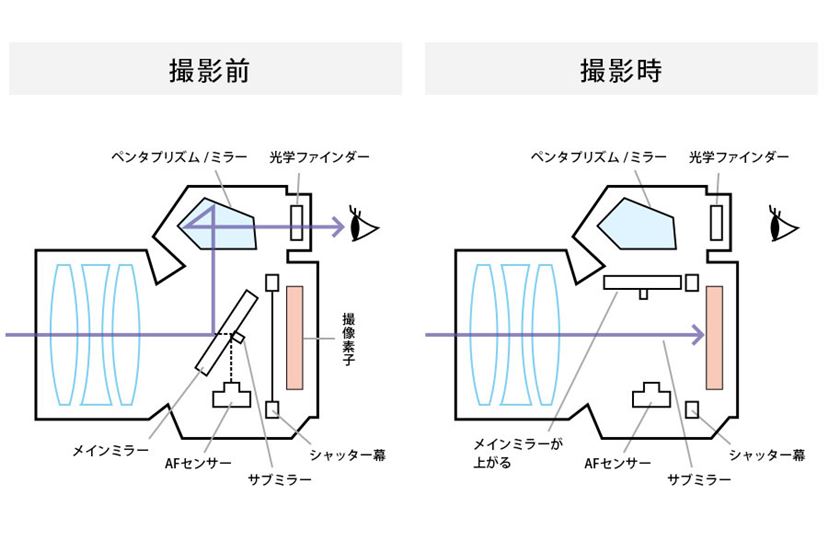 2017春》初心者向け一眼レフカメラ徹底比較！ キヤノン、ニコン