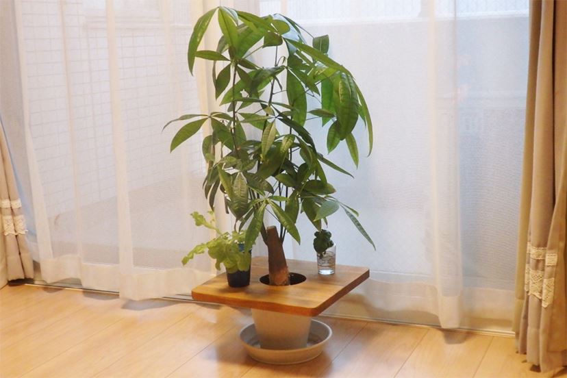 植木鉢が“テーブル”になっちゃう！ 目から鱗の便利グッズ - 価格.com 