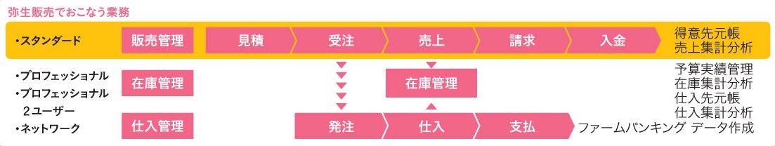 弥生 弥生販売 14 プロフェッショナル 2ユーザー <新・消費税