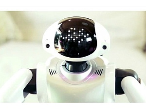 �������F���\�͂ŁA�X�g���X�̂Ȃ�  ��b���\��