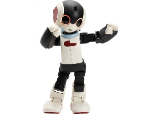 Robi ロビ　完成品　　2014年　動作確認済み Robi-ロビの評価：音声認識ができる2足歩行ロボット｜ペット