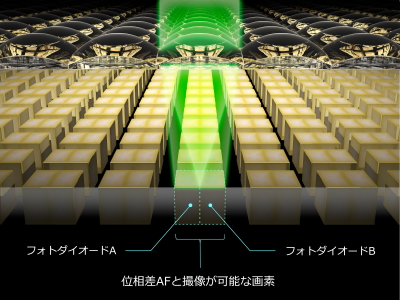 �����E�����x�ȃI�[�g�t�H�[�J�X