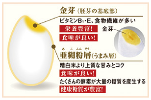 h{̍GĂ⌺āAāuNăj[v