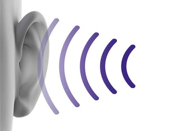 �^�]���̒ጸ