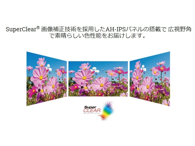 ʂ̏㉺E̎p178xBAʂAAOʁA܂́A猩ĂAmőNȐFƈ肵掿̌܂B