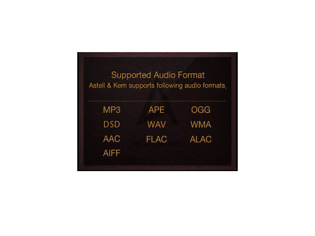 Astell&Kern Astell&Kern AK120-64GB-BLK [64GB] 価格比較