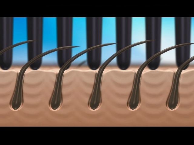 ⊴ƐUuVœtbV! э܂hz̎gpɓKĂ܂B
