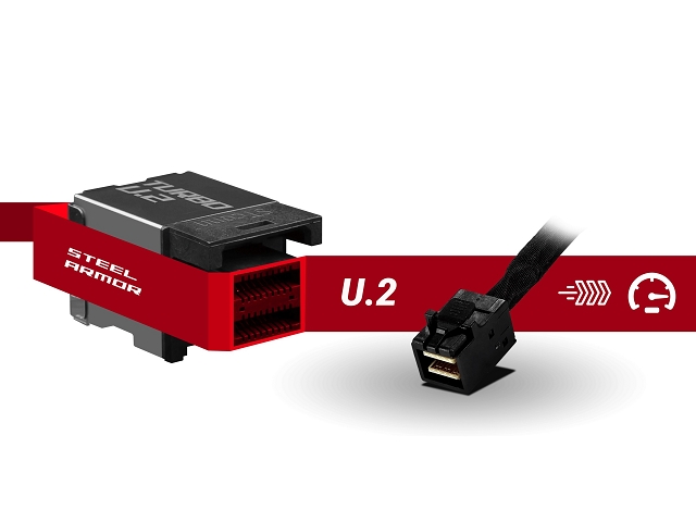 STEEL ARMOR����U.2�[�q�BU.2�͂܂��Ɏ�����[�q�ŁA�ő�32Gb/s���������Ă��܂��BMSI���}�U�[�{�[�h���U.2�[�q�́ASteel Armor�𓋍ڂ��A�h�䐫�ɗD��Ă��܂��B