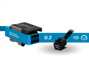 ������SSD�Ή�: STEEL ARMOR�t��U.2�R�l�N�^