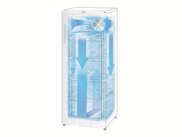 �����s�v�̃t�@�����^�C�v