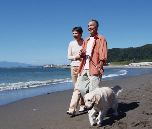 <このような方に!>