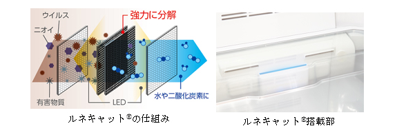 lLbg®i*1j