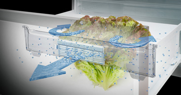 �V�N�������i���j�u�V���L�V���L��؎��v