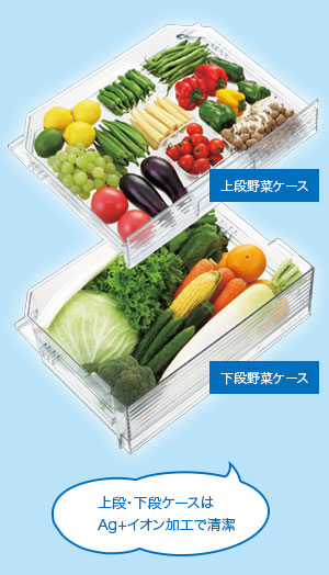 ��؂̊�����}���đN�x�������A�V���L�b�g��؎�