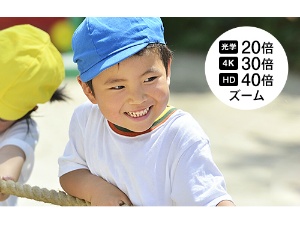 4KBe30{AHDBe40{̑Sf𑜃Y[@\