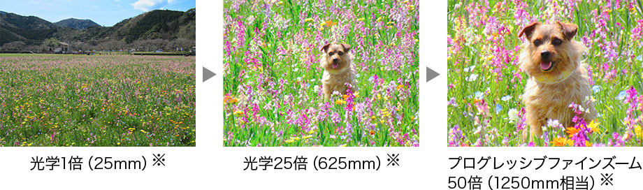 CANON PowerShot SX620 HS 価格比較 - 価格.com CANON PowerShot SX620 HS 価格比較 - 価格.com