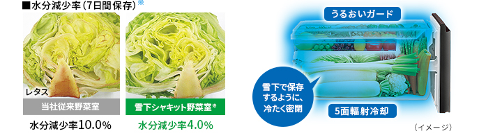 みずみずしさを保ちながら、甘みを引き出す。雪下シャキット野菜室