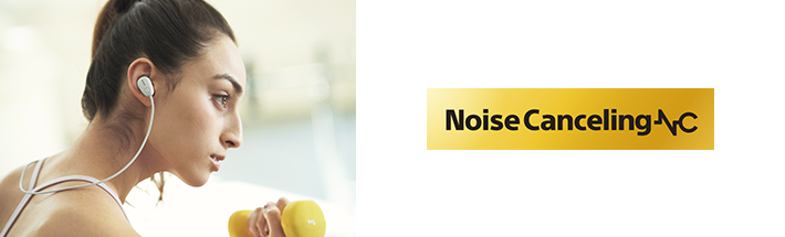 �f�W�^���m�C�Y�L�����Z�����O�@�\����