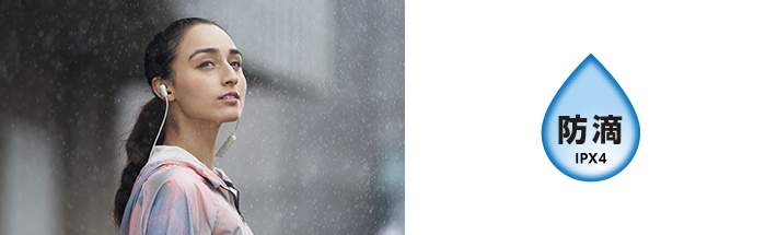 ���␅���Ԃ��A�J�Ȃǂ���w�b�h�z�������h�H���\