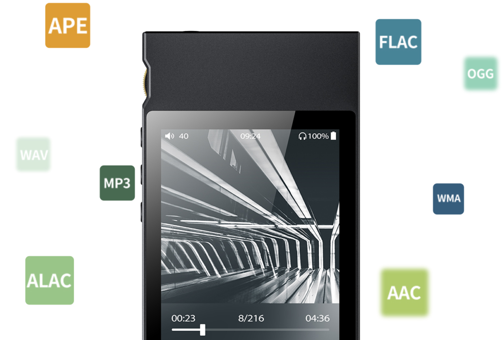 24bit/192kHz�܂ł�PCM�f�[�^�̍Đ��ɑΉ�