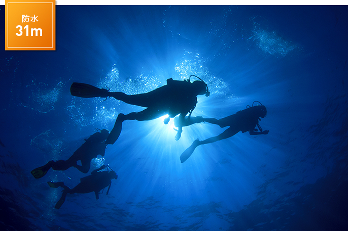 �ߍ��ȃV�[���ł��B�e�ł���^�t�l�X�݌v