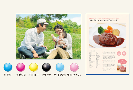 �ʐ^���������L���C�B 6�F�C���N�̍��掿�v�����g�B