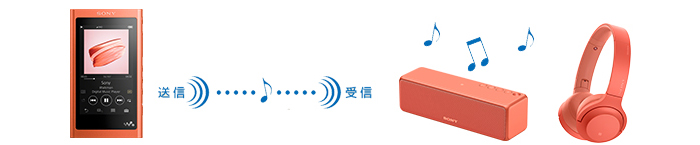 ���y���y����