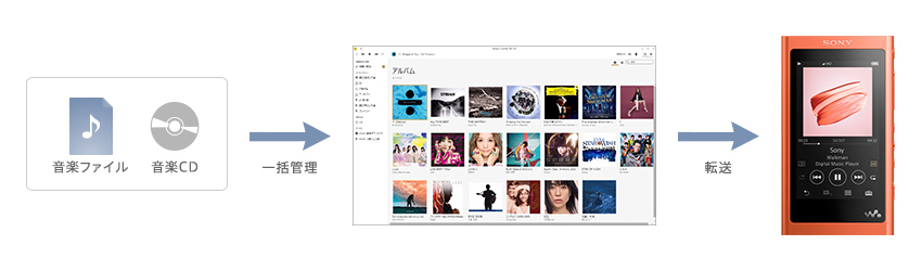 ���񂽂�]��