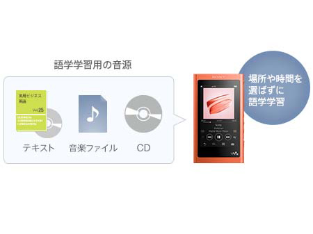 SONY NW-A55WI [16GB] 価格比較 - 価格.com