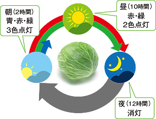 N[ǂ؎