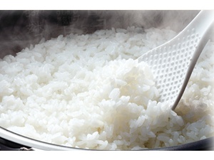 ���͂�̂��������A�b�v�u���܂݃v���X�v���`�i�R�[�g�v