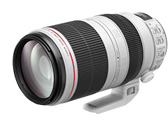 新品級 Canon  EF100-400mm F4.5-5.6L IS USM